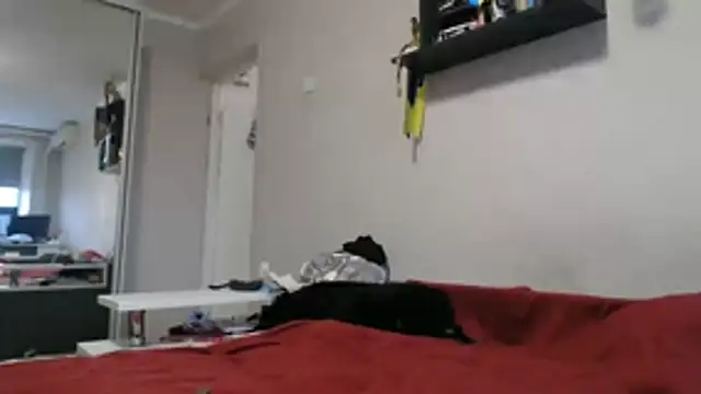 delightful sofi online show from 11.11.25