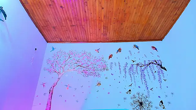 Sofiia Diiaz online show from 11.27.25