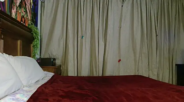 MINI Petite online show from 02.19.25