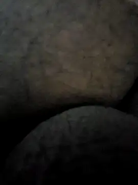 Mallupaiyanaachu online show from 02.03.25