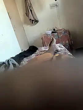 Mallupaiyanaachu online show from 02.05.25