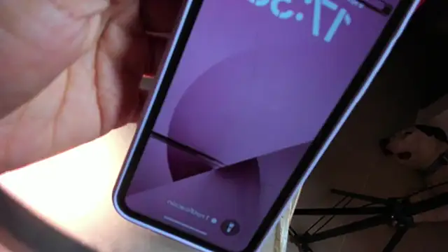 Misslaurenn online show from 12.13.24