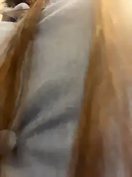 Reggie-Liam online show from 01.09.26