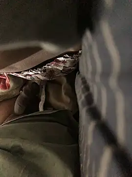 CoolBiDude online show from 12.26.24