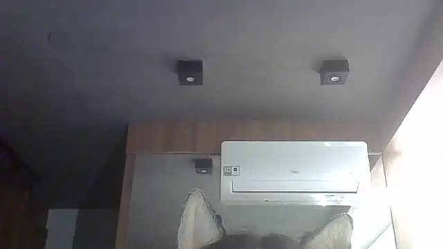 Skinny-Kitten online show from 02.15.26