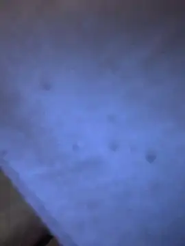 Adamvarga0318 online show from 02.08.25