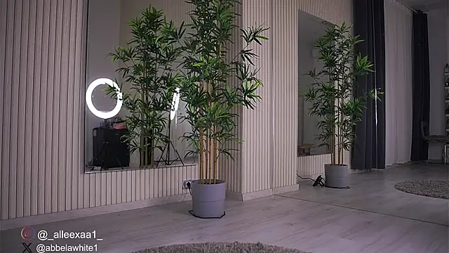 Abbela White online show from 02.16.25