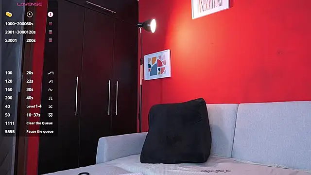 wild col  online show from 11.01.25