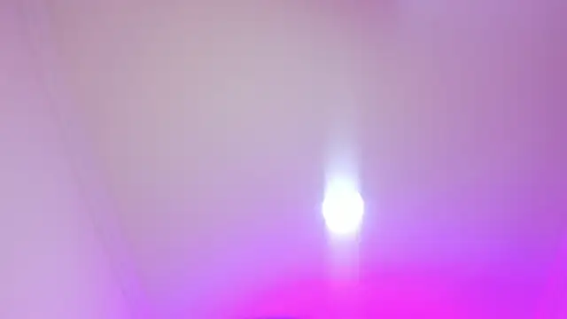 nalalye cruzz  online show from 04.05.26