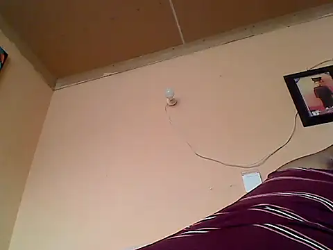 ZOQULUx online show from 01.09.25