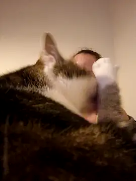 Wisie Cutie online show from 02.19.25