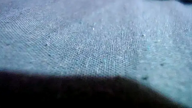 Snapshot of Lelety79 chatting on 04.11.26 Lelety79 online show from 04.11.26