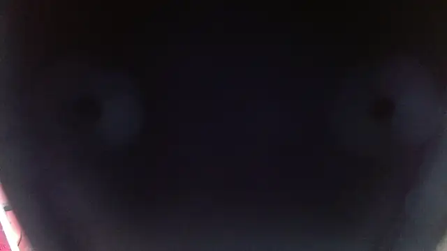 sofia perez    online show from 12.26.24