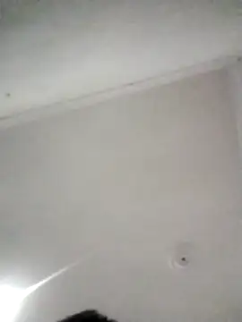 kevin613603 online show from 02.11.26