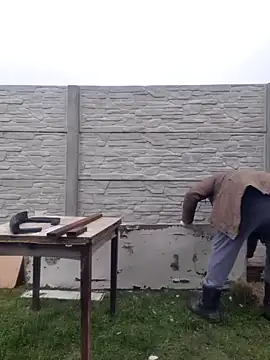 Pandasky online show from 02.06.25