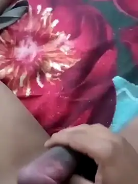 olvis m online show from 02.08.25