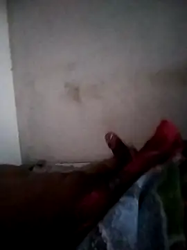 olvis m online show from 03.17.26