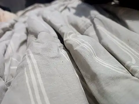 Mailsonp online show from 03.30.26