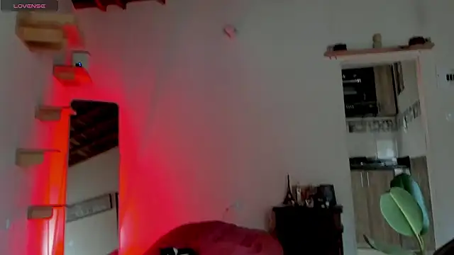 Rainbow leia online show from 03.08.26