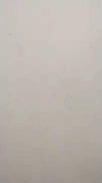 Shuttii 25 online show from 01.23.25