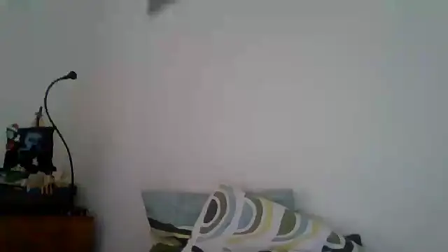 joaodias 97 online show from 02.17.25