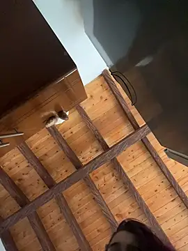 Snapshot of Alicia_Ruiz chatting on 12.12.24 Alicia Ruiz online show from 12.12.24