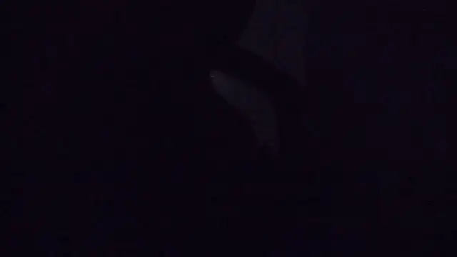 SouTarado69 online show from 03.21.25