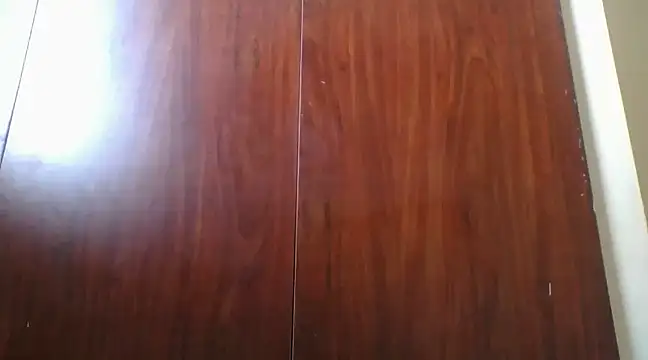 prettychic5 online show from 12.12.24