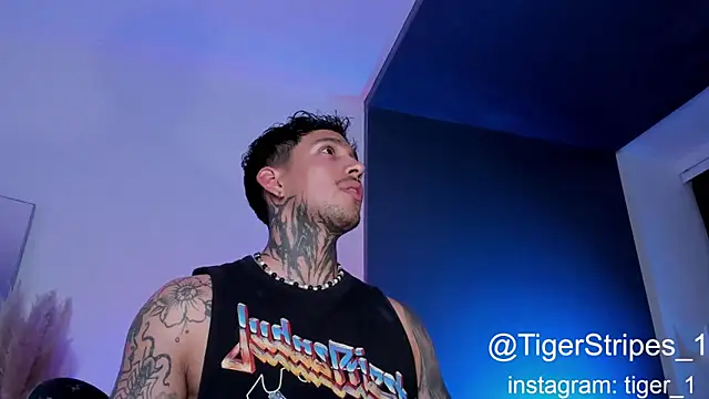 TigerStripes1  online show from 02.01.25