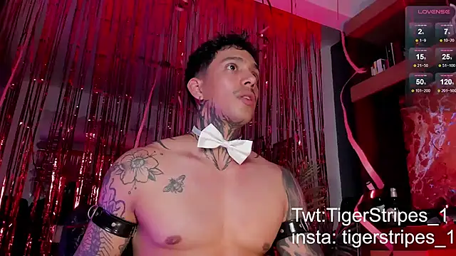 TigerStripes1  online show from 02.15.25