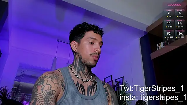 TigerStripes1  online show from 03.02.25