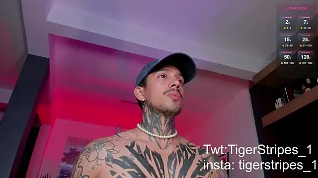 TigerStripes1  online show from 03.03.25