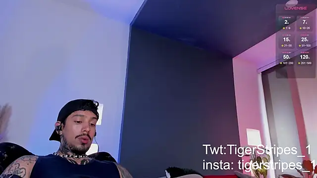 TigerStripes1  online show from 03.15.25