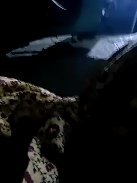 Kolkata   Boy online show from 03.02.25